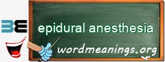 WordMeaning blackboard for epidural anesthesia